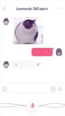 DDOS测试软件程序维护界面